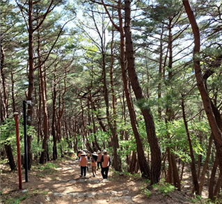 보경사